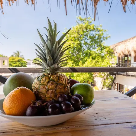 Hotel Casa Dharma Origen Barefoot Luxury, Isla de Tierra Bomba *